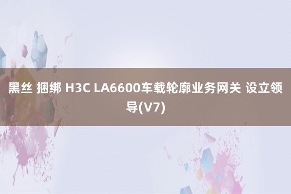 黑丝 捆绑 H3C LA6600车载轮廓业务网关 设立领导(V7)