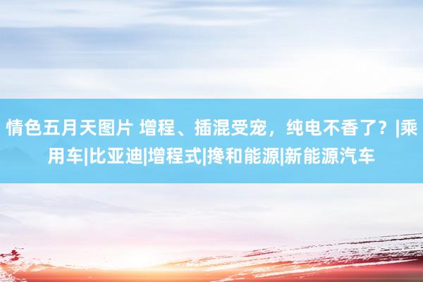 情色五月天图片 增程、插混受宠，纯电不香了？|乘用车|比亚迪|增程式|搀和能源|新能源汽车