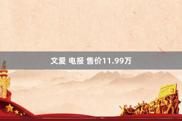 文爱 电报 售价11.99万