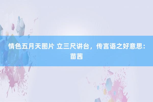 情色五月天图片 立三尺讲台，传言语之好意思：苗茜