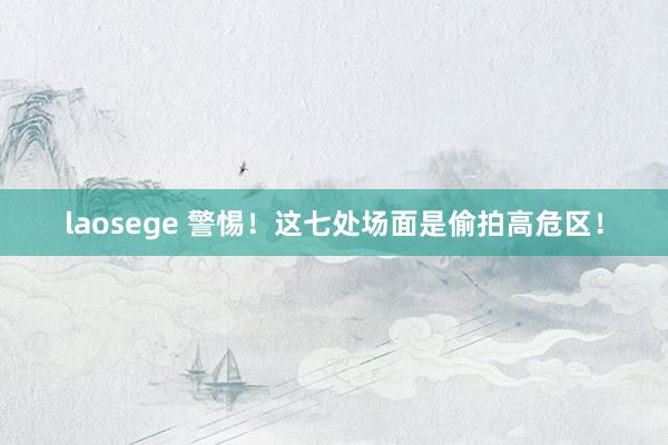 laosege 警惕！这七处场面是偷拍高危区！