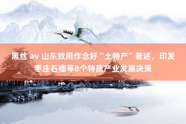 黑丝 av 山东效用作念好“土特产”著述，印发枣庄石榴等8个特质产业发展决策