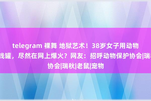 telegram 裸舞 地狱艺术！38岁女子用动物标本制作存钱罐，尽然在网上爆火？网友：招呼动物保护协会|瑞秋|老鼠|宠物